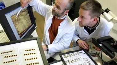 Sbarca in città l'Alzheimer Caffè per combattere la demenza