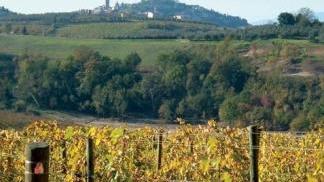 Uno scorcio della tenuta Cosimo Maria Masini