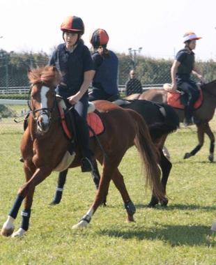Il Caprilli far&agrave; spazio anche allequitazione 