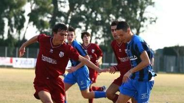 Stafico in azione
