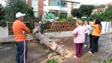 Immagini dei danni causati dalla tromba daria del 2008     
