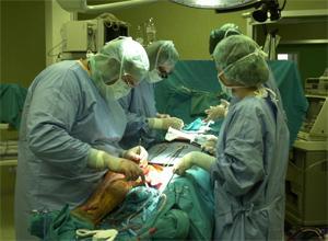 Ucciso dallo choc settico per l'intestino perforato