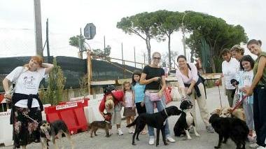 Volontari del canile Hermada di Montecatini