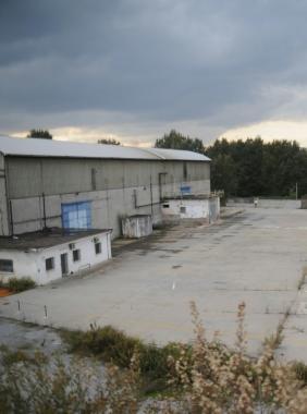 Larea ex Forte 