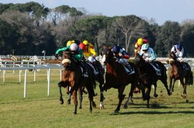 <b>IPPICA</b> Larrivo vincente di Matsuda su Batten Boom nella corsa Tris ieri a San Rossore             