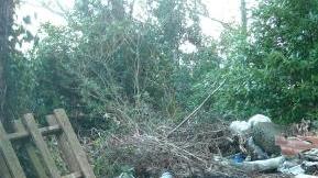 Un cumulo di rifiuti abbandonati in via della Lecceta