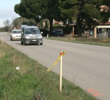 Dall’alto i piccheti sulla 206 il gruppo dei bambini dell’asilo 44 Gatti, i lavori al casello e alcuni assegnatari degli alberi