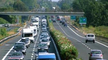 <b>LAVORI IN VISTA.</b> Sopra, un cantiere sull’A12 In alto, le siepi che saranno tolte