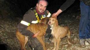 Pompieri salvano due cani precipitati in un dirupo