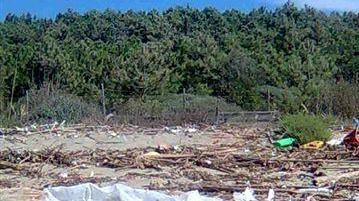 Alcuni rifiuti accumulati sulla spiaggia di Marina di Vecchiano