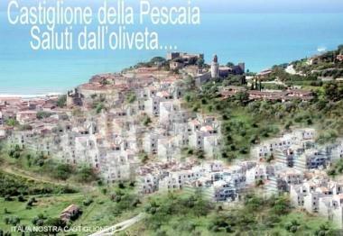<b>LA CARTOLINA </b>choc stampata da Italia Nostra con la simulazione virtuale del futuro di Castiglione secondo gli ambientalisti 
