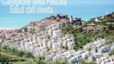 <b>LA CARTOLINA </b>choc stampata da Italia Nostra con la simulazione virtuale del futuro di Castiglione secondo gli ambientalisti