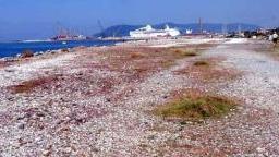 Ampliamento del porto, avanti tutta