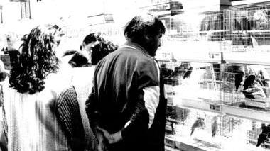 Una passata edizione della fiera del canto degli uccelli