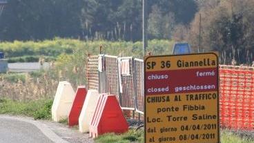 <b>LAVORI.</b> A Torre Saline
