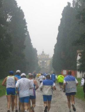 I partecipanti alla marcia nel viale di Villa Torrigiani a Camigliano 