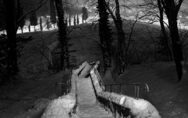 Uno scorcio di Parco Corsini sotto la neve fotografato da Cioni 