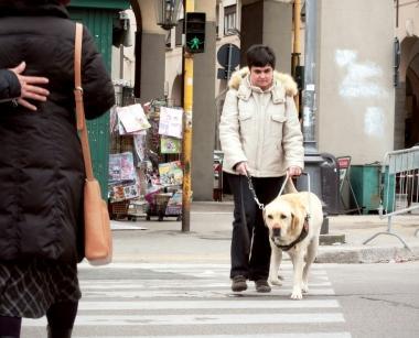 Il cane-guida Adone in piazza Grande accompagna Gabriella Balluardo, non vedente dalla nascita 