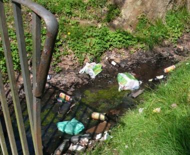 <b>NEI FOSSI.</b> Le foto di Matilde raccontano lo stato del parco cittadino e dei suoi canali        
