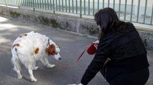 Strade sporcate dai cani controlli mirati sui padroni