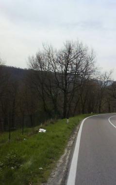 <b>FIAMME </b>sullAmiata   