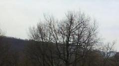 <b>FIAMME </b>sull’Amiata