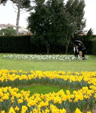 I giardini della Fattoria Montellori a primavera diventano vere e proprie opere darte 