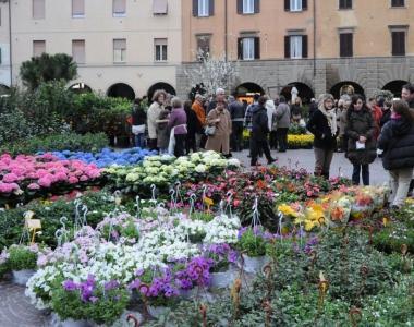 Fiori e cioccolato per aiutare gli anziani