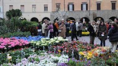 Fiori e cioccolato per aiutare gli anziani