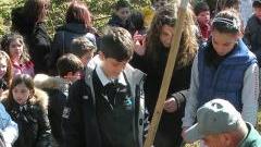 <b>FESTA </b>degli alberi