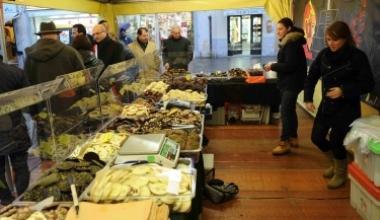 Da venerdì a domenica Pontedera ospita il Festival del Cioccolato
