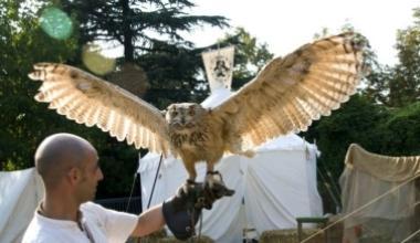 Dal 9 torna "Naturamica" in piazza del Mercato a Pontedera