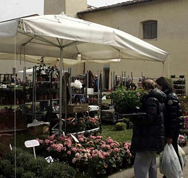 Il centro di Monsummano domenica sar&agrave; invaso dai fiori    