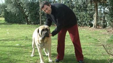 <b>ATTORE </b>Alessandro Bertolucci 