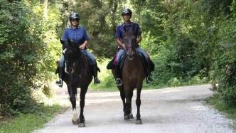 <b>VIGILANZA.</b> Polizia a cavallo in pineta