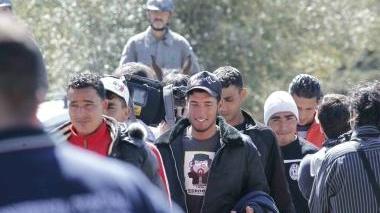 I tunisini arrivati alla Piaggerta a San Rossore mentre vengono accompagnati nei loro alloggi