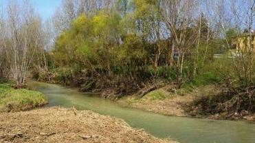 Il torrente Casciani