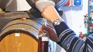 Risorgimento del vino con il web sull'etichetta e tanti giovani contadini