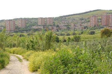 Il sentiero che parte dai Ghiaccioni e arriva a Populonia   