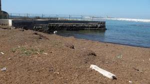 Scoglio della Regina, la spiaggia è piena di alghe. I gestori delle baracchine protestano