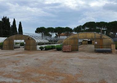 <b>IL TERZO. </b>Alcune delle serre   