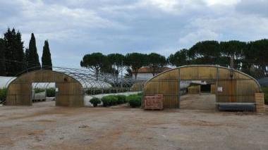 <b>IL TERZO. </b>Alcune delle serre