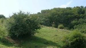Una veduta della Calvana