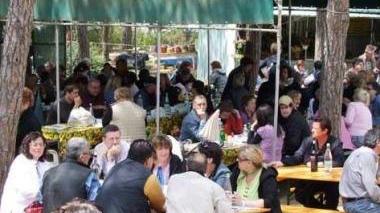 Da sabato nuova edizione della sagra del carciofo