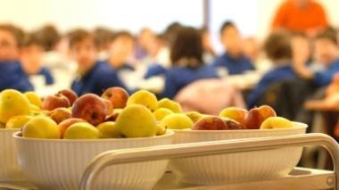 Un alunno trova una graffetta nella minestra alle scuole Parmini