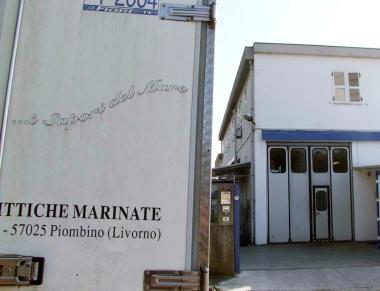 La sede della Sapori del mare in via del Platano 