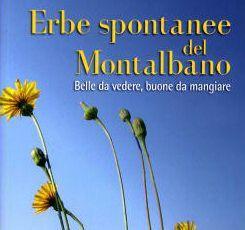 La copertina del libro