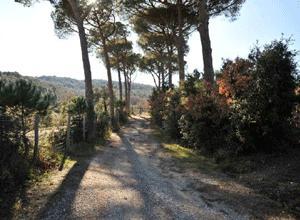 Trekking, ciclovie e ippovie nei boschi di San Vincenzo
