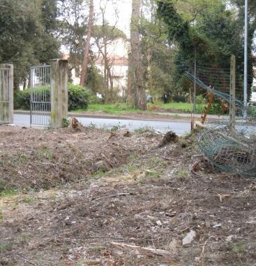 <strong>IN CHE STATO.</strong> Ecco le foto inviate dalla signora Lazzeri: la pineta è quella di via Zara Ultima a destra, i cartelli di protesta davanti al Municipio ieri mattina