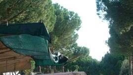 La fiera a Porcari